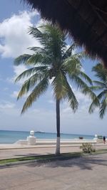 Palm tree by swimming pool against sky