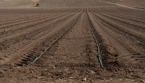 High angle view of tire tracks on field