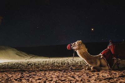 Man on desert against sky at night