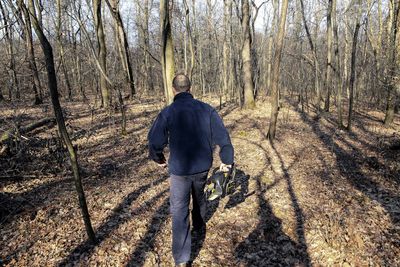 Rear view of man with electric saw walking amidst bare trees in forest