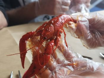 Close-up of hand holding leaf