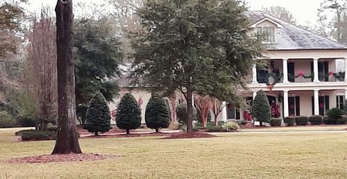 Trees and lawn outside building