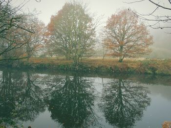 Reflection of trees in lake against sky