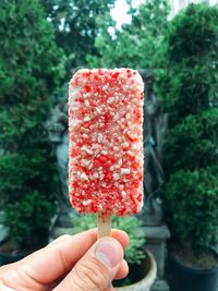 Close-up of hand holding ice cream bar