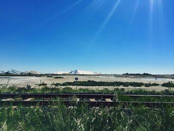 Scenic view of field against clear blue sky