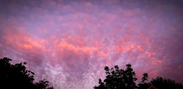 Low angle view of silhouette trees against sky during sunset
