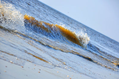 Close-up of wood in sea against clear sky