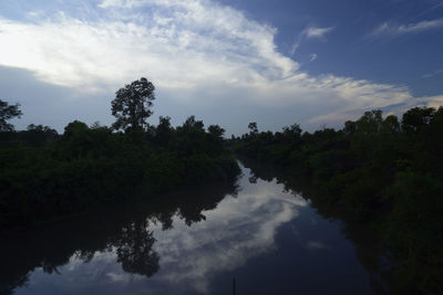 Reflection of trees in lake