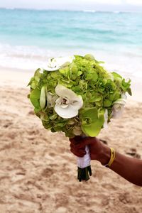 Close-up of woman hand holding flower at beach