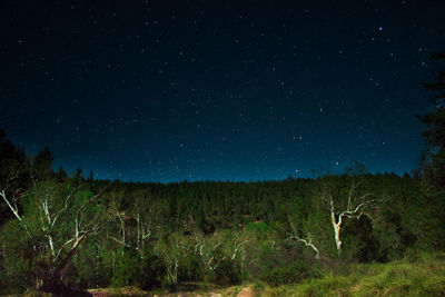 Scenic view of field against sky at night