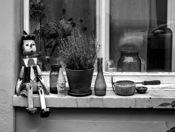 Potted plants on window sill