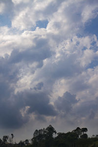 Low angle view of trees against sky