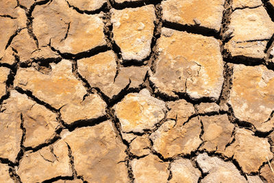 drought