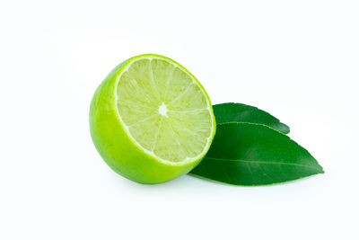 Close-up of lemon slice against white background