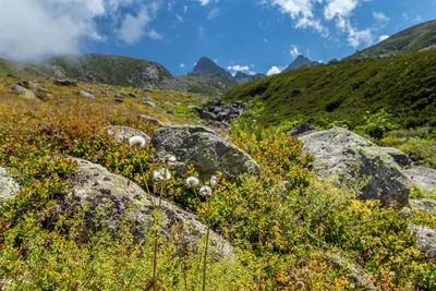 Scenic view of rocky mountains against sky