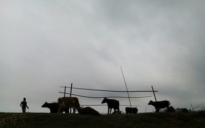 Silhouette people standing on field against sky