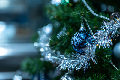 Close-up of christmas tree