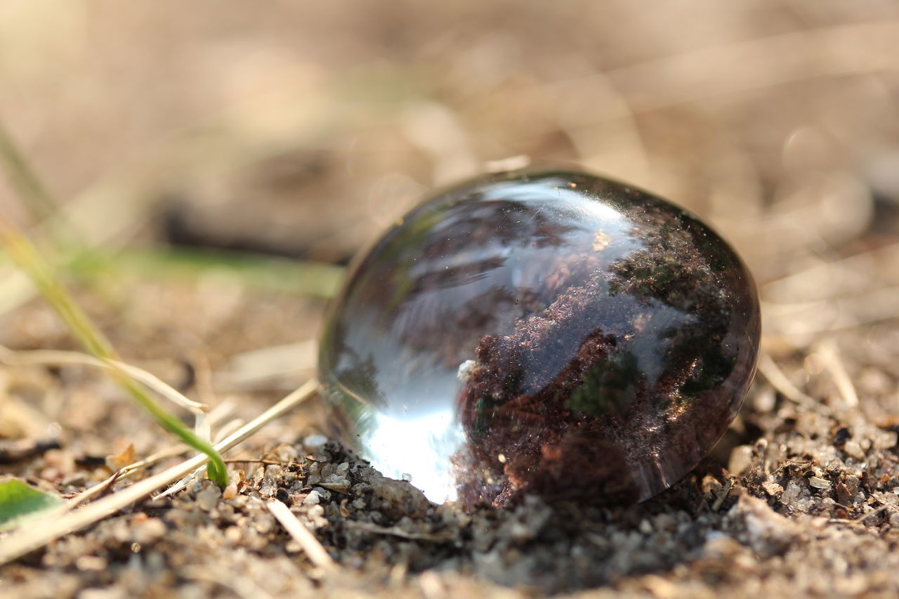 CLOSE-UP OF WATER BALL ON FIELD