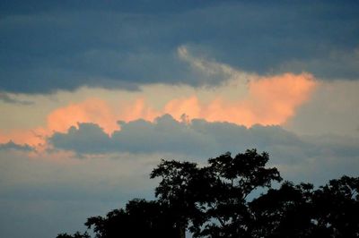 Low angle view of trees against cloudy sky