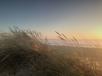 Scenic view of sea against clear sky during sunset