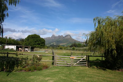 Scenic view of field against sky