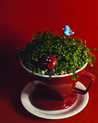 Close-up of red fruit on table against orange background