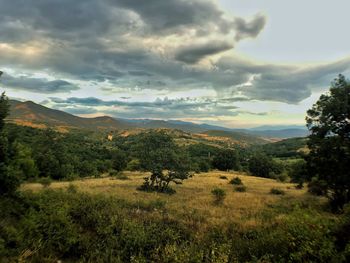 Scenic view of landscape against sky