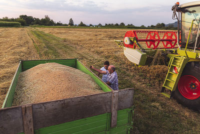 Organic farming, wheat field, harvest, combine harvester in the evening