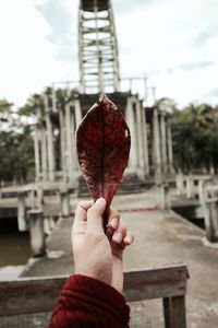 Close-up of hand holding red leaf