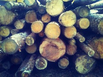 Stack of logs