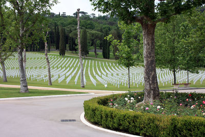 Usa military cemetery of second world war with crosses of dead soldiers resting in florence