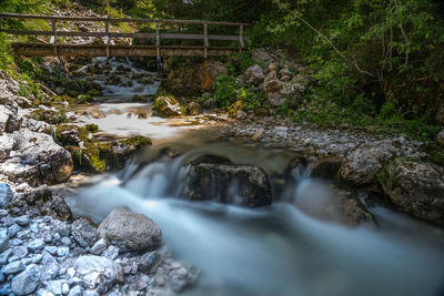 Stream flowing through rocks in forest