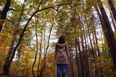 Rear view of woman standing amidst trees in forest