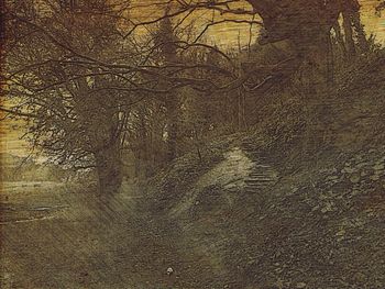 Full frame shot of tiled floor