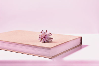 High angle view of books on white background