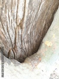 Close-up of rock formation