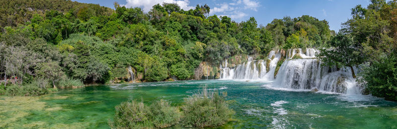 Scenic view of waterfall in forest