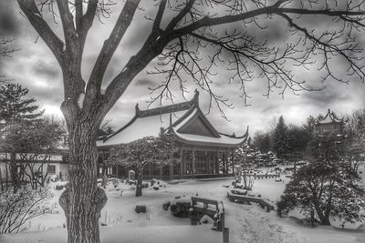 Panoramic view of building and trees during winter