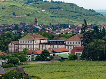 Scenic view of agricultural field by houses in village