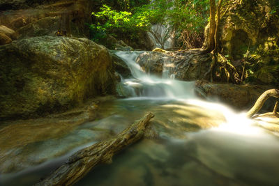 Scenic view of waterfall in forest