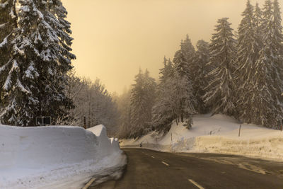 Snow covered road amidst trees against sky during sunset