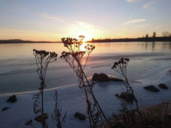 Scenic view of lake against sky during sunset