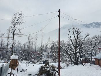 Snow covered trees against sky