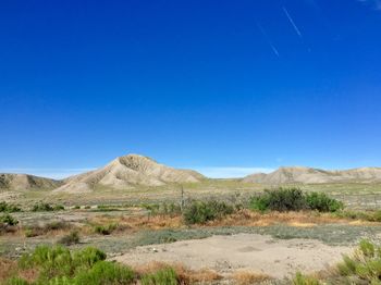 Scenic view of landscape against clear blue sky