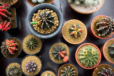 High angle view of fruits on table