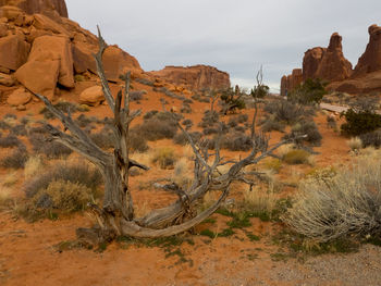 Rock formations in a desert