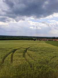 Scenic view of agricultural field against sky