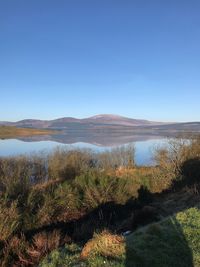 Scenic view of landscape against clear blue sky