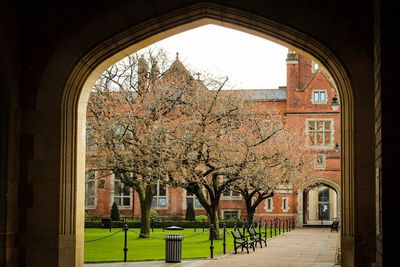 Trees in front of building