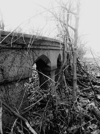 Low angle view of old building